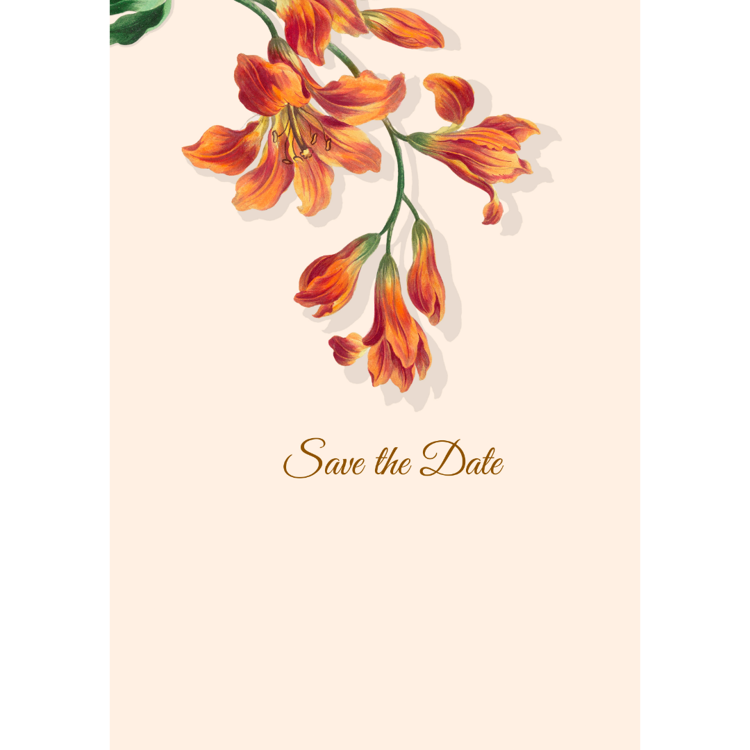 Invitation (2)